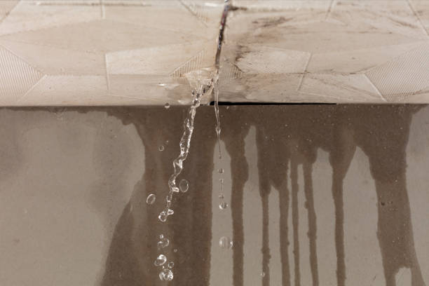 Professional Structural Drying technician working in Harrison, AR